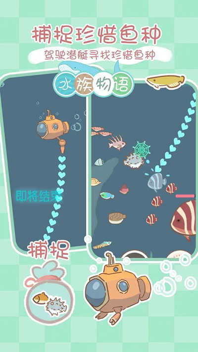 水族物语(4)