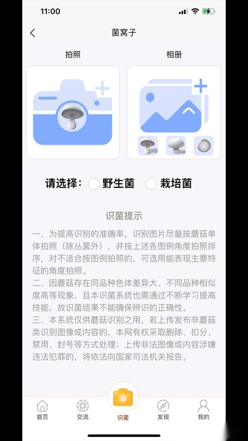 菌窝子软件(2)