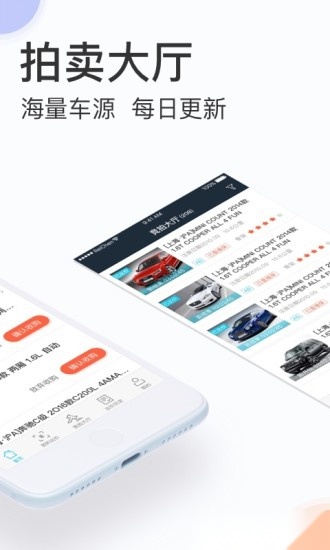 天天拍车经销商版