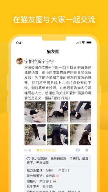街猫安卓官方版图1