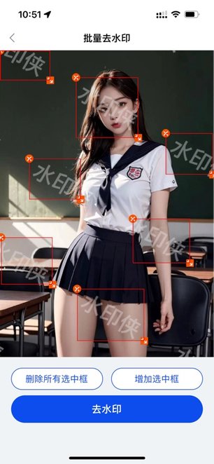 水印侠