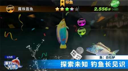 垂钓大师最新版(2)