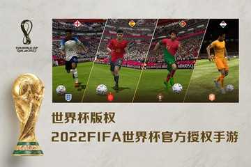 fifa足球世界最新版图2