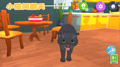 小猫闹翻天