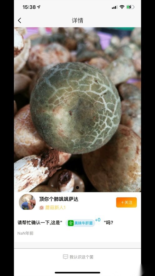 菌窝子软件(4)