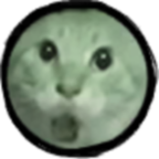圆头猫大作战