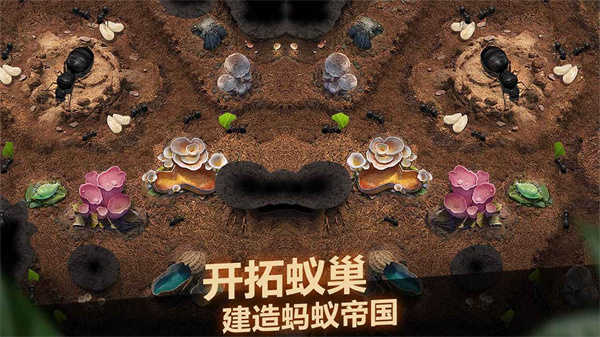小小蚁国安卓版(5)
