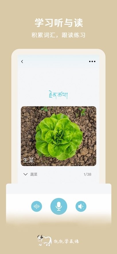 牦牦学藏语本正版(1)