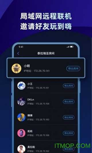 蒲公英联机平台最新版图2