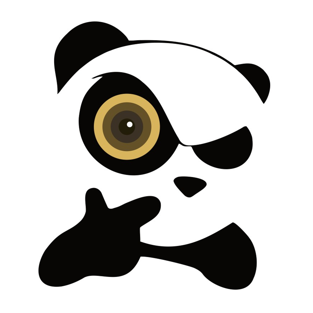 熊猫眼监控摄像头
