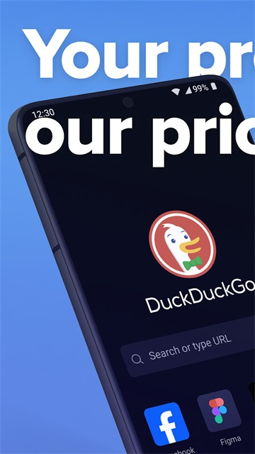 duckduckgo浏览器中文版(5)