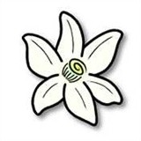 azaharplus模拟器手机正版