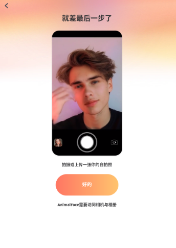 灵魂宠物