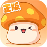 冒险岛枫之传说安卓新版