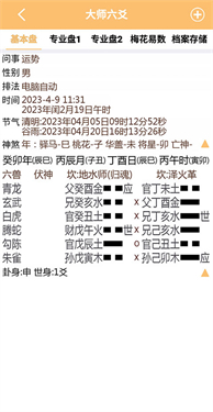 大师六爻排盘
