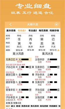 大师六爻排盘