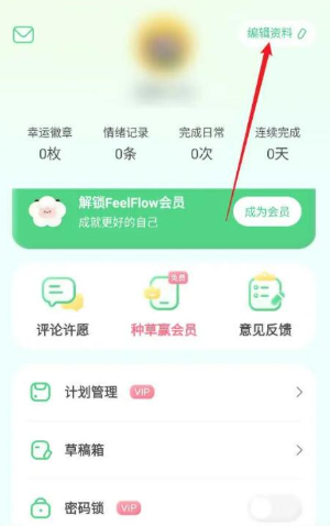 FeelFlow正版