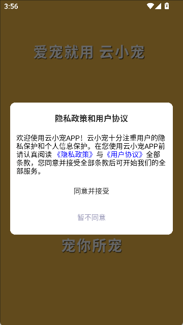 云小宠