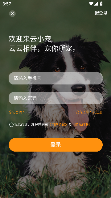 云小宠