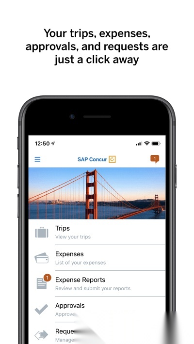sapconcur正版图4