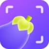 茄子水印相机无广告版 V2.3.0.0