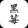 黑莓小说旧版 v1.3.6