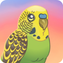鸟类世界 v0.35