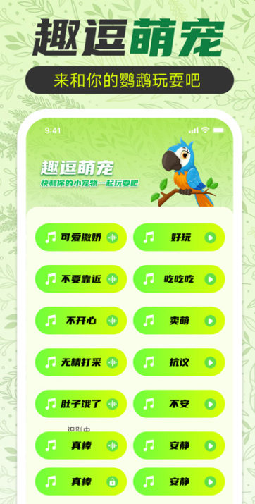 鹦鹉翻译助手(5)