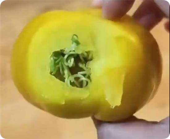 西红柿存放30天后内部长出类似“豆芽”的结构专家称：食用基本无虞