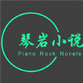 琴岩小说软件