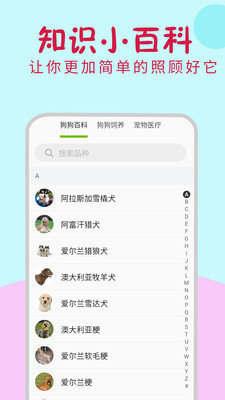 小狗翻译器(2)