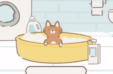 遇见你的猫手机版