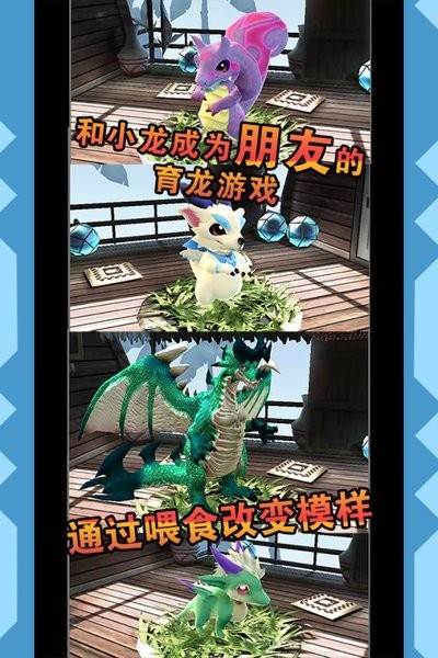 小龙的风诗中文版