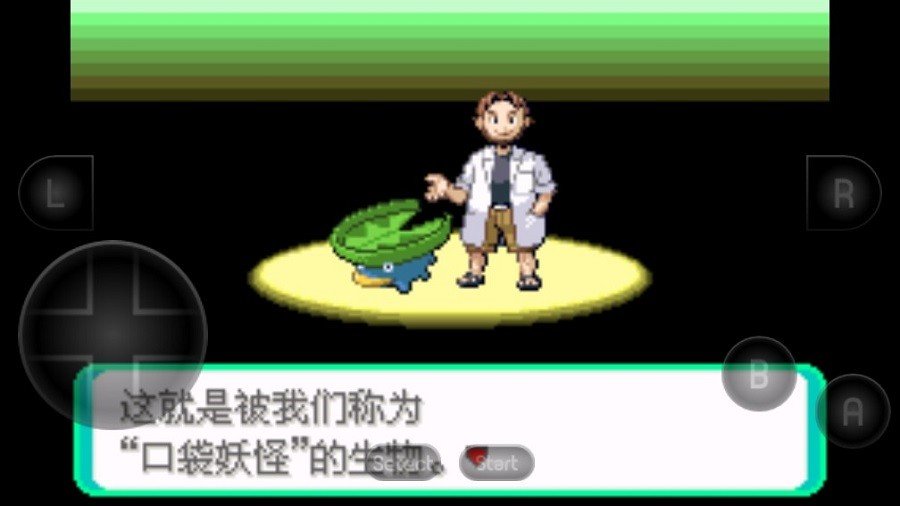 口袋妖怪口袋暴龙