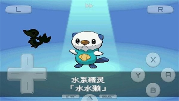 口袋妖怪黑2(4)