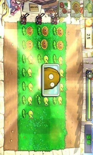 植物大战僵尸仿e版