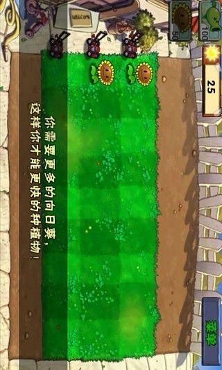 植物大战僵尸仿e版