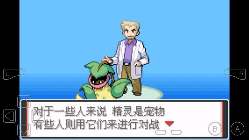 口袋妖怪愿望