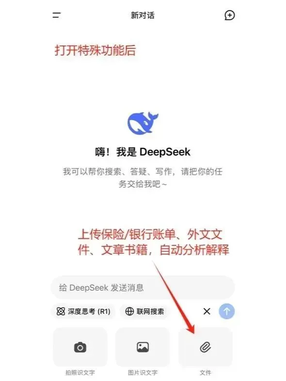 DeepSeek新版