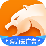 猎豹浏览器纯净版 v5.28.1