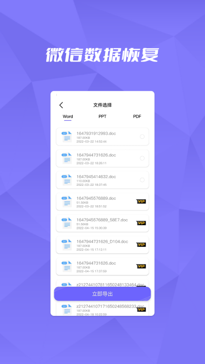 恢复大师正版