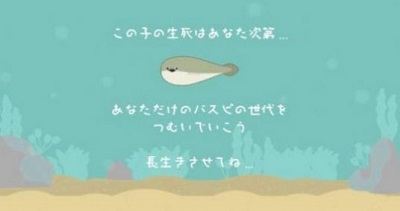 萨卡班甲鱼游戏安装包(1)