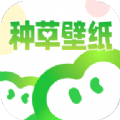 种草壁纸最新版 v1.0.0