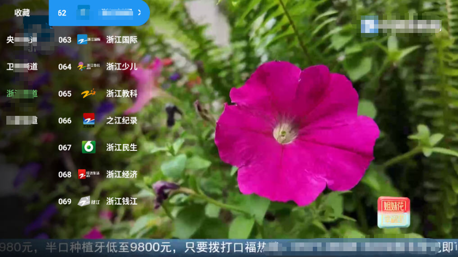 天微影视TV版图2