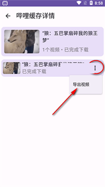 哔哩缓存导出图5