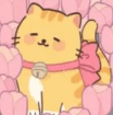 我的猫系男友