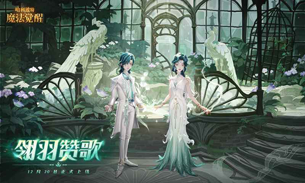哈利波特魔法觉醒最新版3