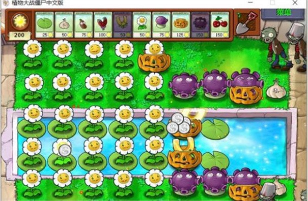植物大战僵尸随机版1