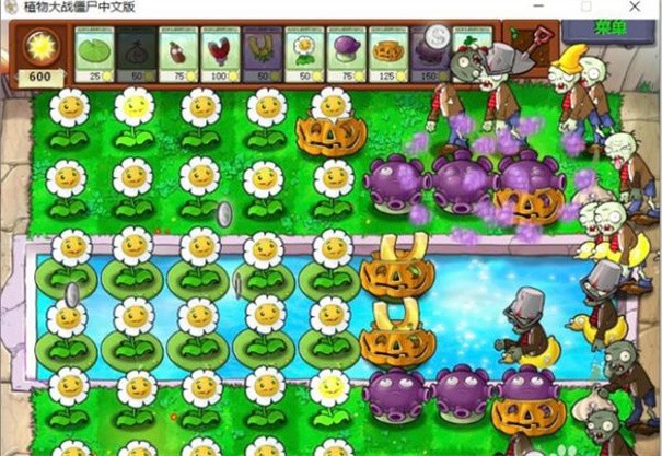 植物大战僵尸随机版3