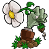 植物大战僵尸仿e支触屏版 v1.2.9